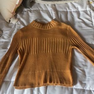 Aeo turtle neck sweater